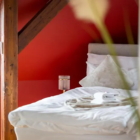 Duplex - Constance - Self Check-in - Parking - 4-keys