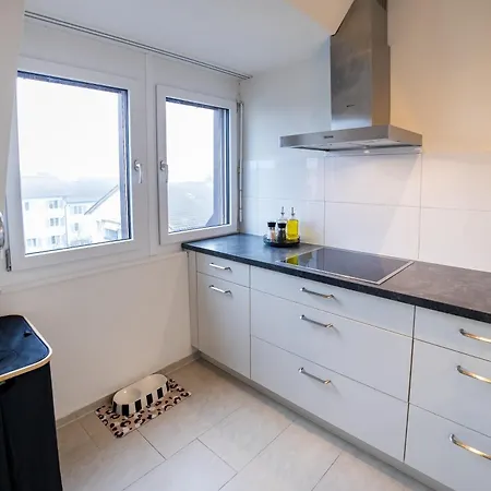 Duplex - Constance - Self Check-in - Parking - 4-keys Apartmán